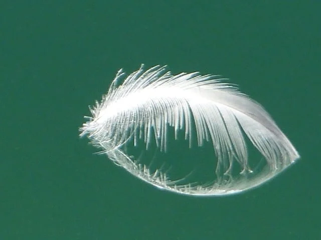 zumThemaStilleDesGeistes
