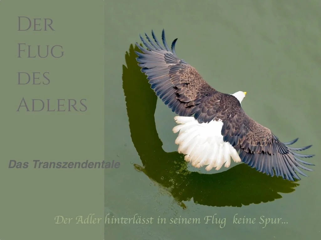 DerFlugDesAdlers-Das Transzendentale